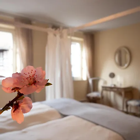 Refugium Theresienstrasse 19 - Morisot Lejlighed