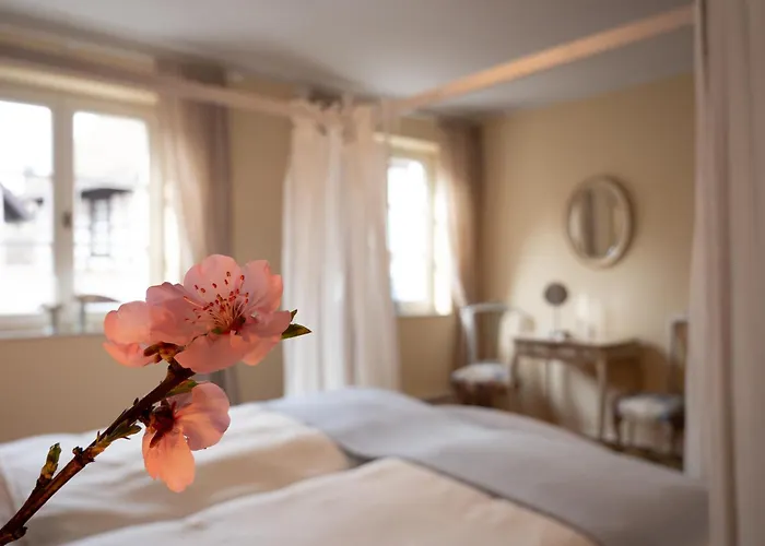 Refugium Theresienstrasse 19 - Morisot Apartment